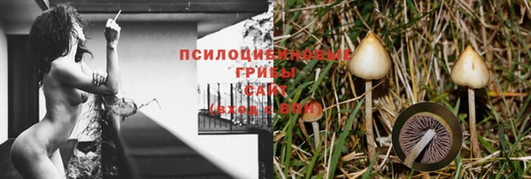 кокаин Ладушкин