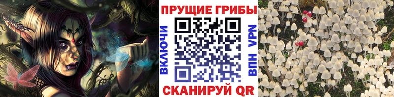 Галлюциногенные грибы MAGIC MUSHROOMS  omg ТОР  Жигулёвск 